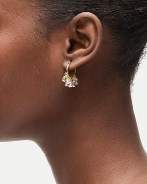 J.Crew Beaded Huggie Hoops - Brown