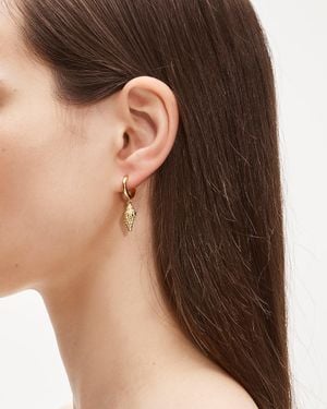 J.Crew Shell Huggie Hoop Earrings - Brown