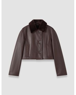 JOSEPH Liri Natural Shearling Jacket - Brown