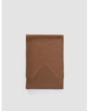 JOSEPH Pasilla Pure Cashmere Scarf - Brown