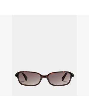 Kate Spade Carolina Sunglasses - Brown