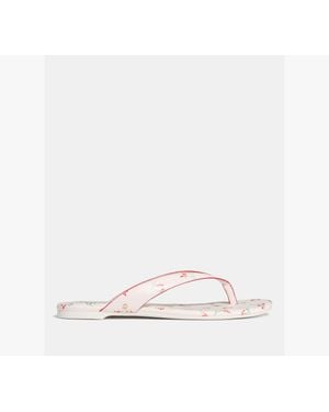 Kate Spade Sandie Flip Flop Sandal - White