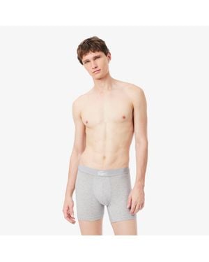 Lacoste 3-Pack Stretch Jersey Boxer Briefs - Gray