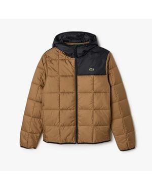 Lacoste Color Block Padded Jacket - Brown