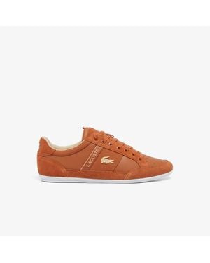 Lacoste Chaymon Suede Sneakers - Brown