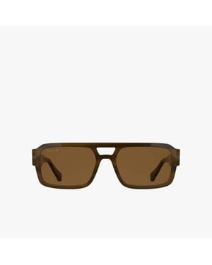 Lacoste The Line Acetate Navigator Glasses - Brown