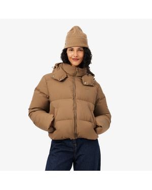 Lacoste Water-Repellent Hooded Down Jacket - Brown