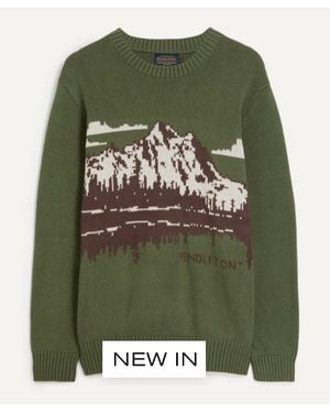 Pendleton Lake Crew Knit Sweater - Green