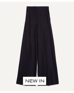 Max Mara Pinza Wide-Leg Pants - Blue