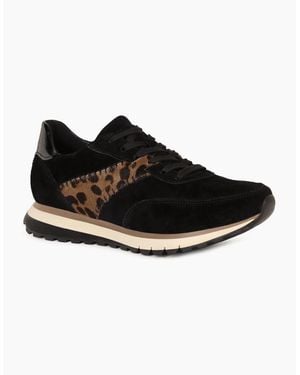 Gabor Harp Trainers - Black
