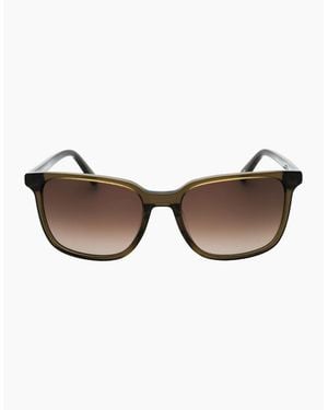 Banana Republic Sf Lensed Sunglasses - Brown