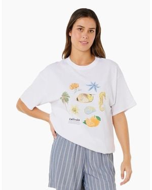 Rip Curl Rip Curl Poolside Heritage Short Sleeve T-Shirt - White