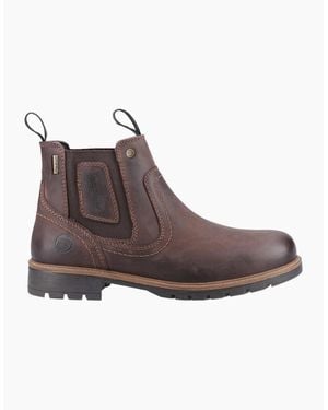 Cotswold Chipping Waterproof Boots - Brown