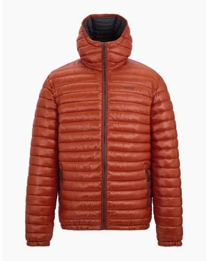 Regatta Hurden Padded Jacket - Red