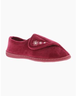 Strollers Slippers Aloha Touch Fastening Burgundy Uk Size - Red
