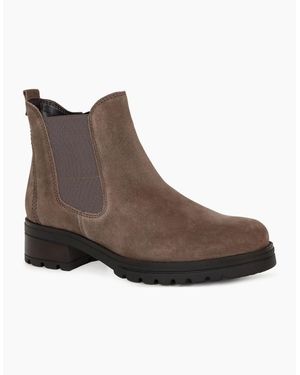 Gabor Sallis Ankle Boots - Brown