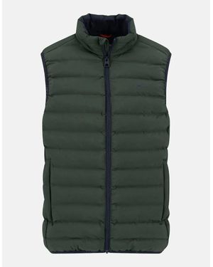 Fynch-Hatton Basic Light Weight Gilet Dark Ivy - Green