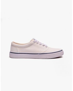 TOMS Fenix Trainers - White