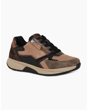 Gabor Adora Trainers - Brown
