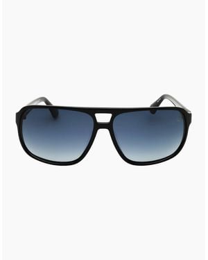 Timberland Shiny Polarized Sunglasses - Blue