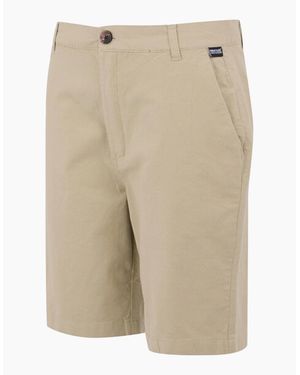 Regatta Sabastal Shorts - Natural