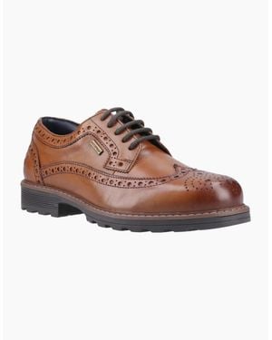 Cotswold Ramsden Leather Tan Brogues Shoes - Brown