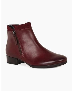 Gabor Briano Ankle Boots - Purple