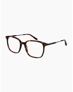 Ted Baker Optical Frame Tb8295 407 54 - Brown