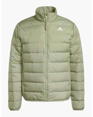 adidas Ess Lite Dwn - Green