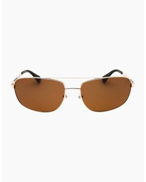 Timberland Polarized Lens Sunglasses - Brown