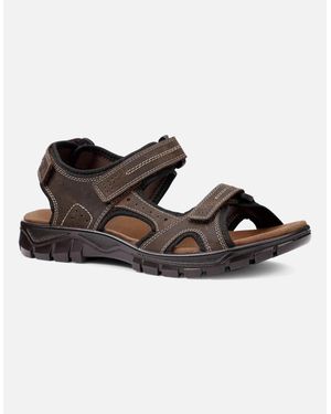 Hotter Lorenzo Sandals - Brown