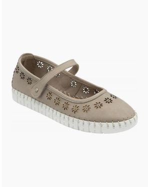 Lotus Aurellia - Brown