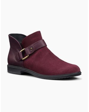 Hotter Linton Ankle Boots - Purple