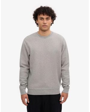 COLORFUL STANDARD Classic Organic Crew Neck Sweatshirt - Grey