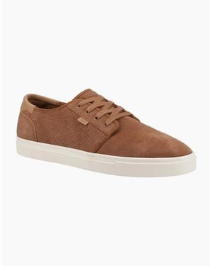 TOMS Carlo 2.0 Leather Walnut Trainers - Brown