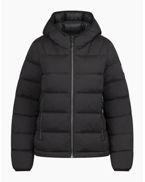Trespass Ladies Rollins Hooded Jacket - Black