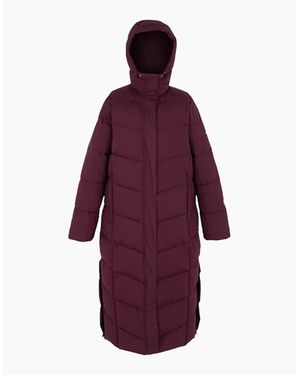 Regatta Ladies Eloria Padded Jacket - Purple