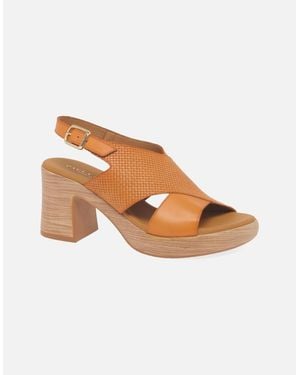 Paula Urban Hideaway Sandals - Brown