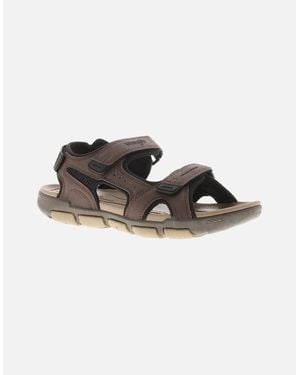 Wrangler Walking Sandals Buster Uk Size - Brown