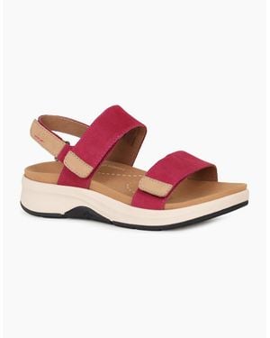 Josef Seibel Estelle 04 Sandals - Pink