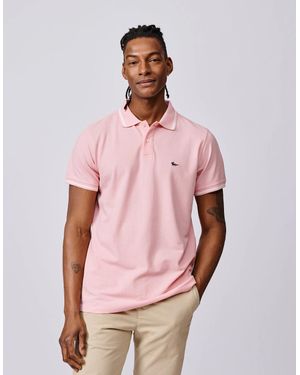 aubi Eden Tipped Pique Polo - Pink