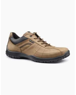 Hotter Thor Ii Gtx Walking Shoes - Brown