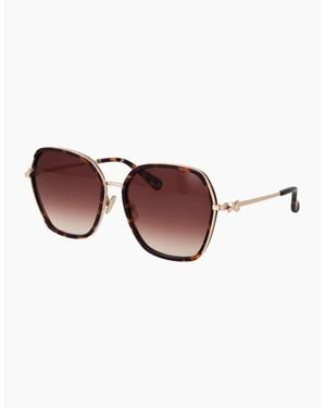 Ted Baker Sunglasses Tb1776 703 58 - Brown