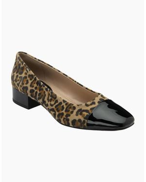 Lotus Joyce Court Shoes - Brown