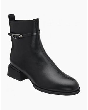 Lotus Unez Ankle Boot - Black