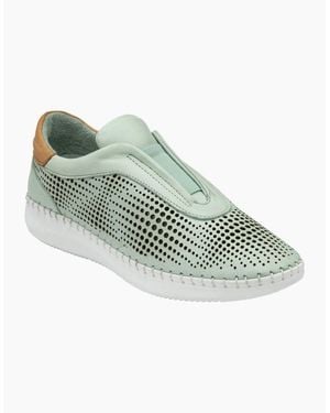 Lotus Lorena Trainers - Green