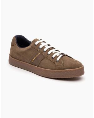 Base London London Hopper Leather Moss Trainers - Brown