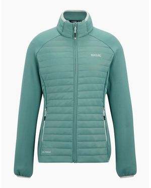 Regatta Ladies Highton Stretch Padded Jacket - Green