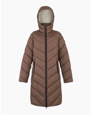 Regatta Ladies Anita Padded Jacket - Brown