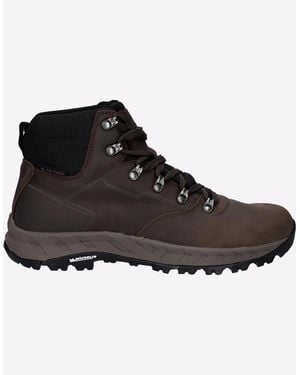 Hi-Tec Altitude Vii Waterproof Hiking Boots Chocolate - Black